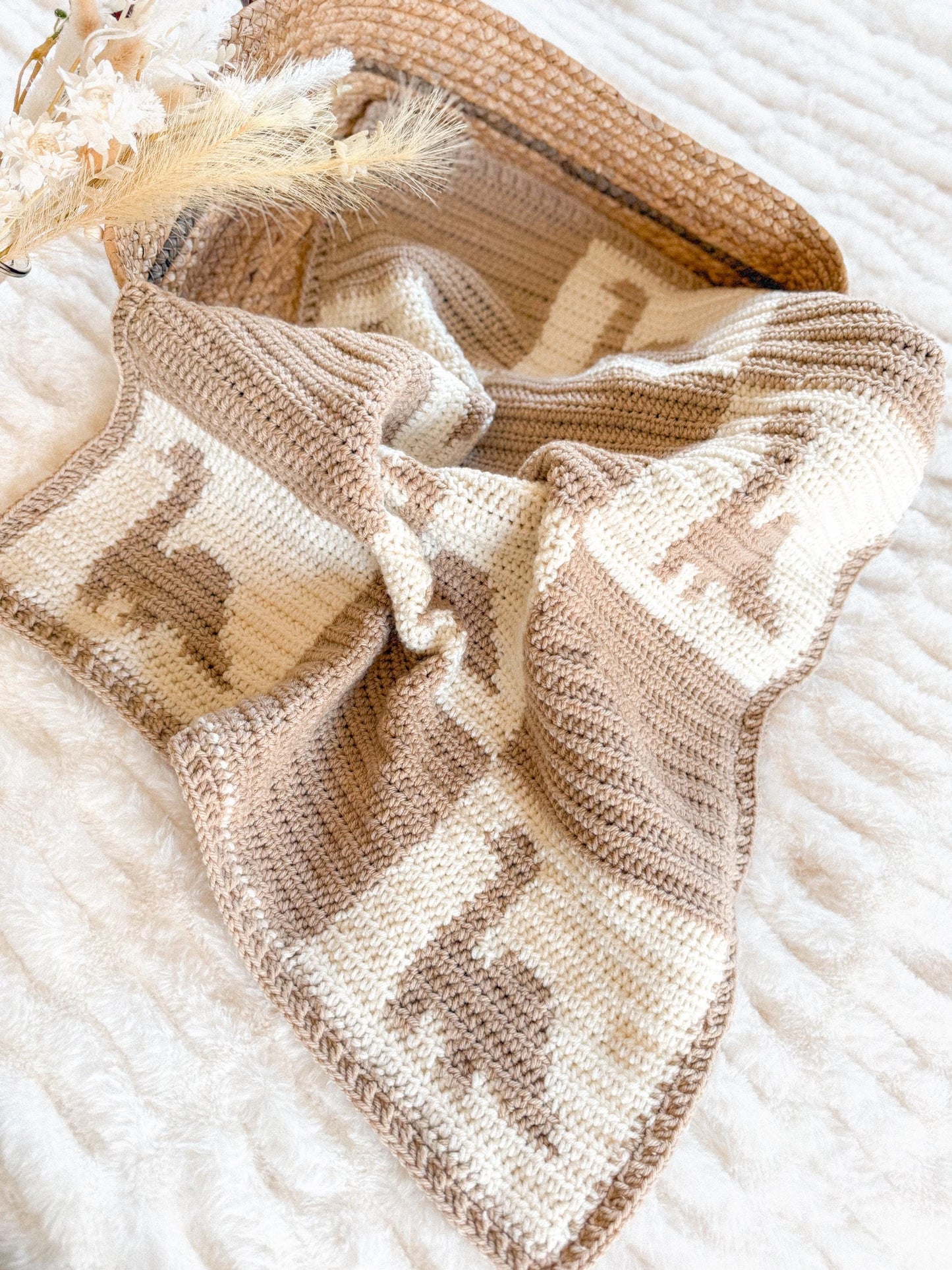 Check-a-saurus Blanket Crochet Pattern